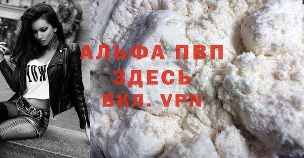 стаф Аркадак