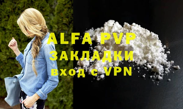стаф Аркадак