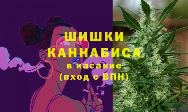 стаф Аркадак