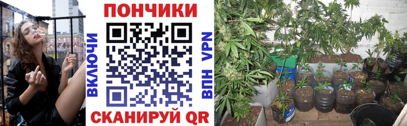 как найти закладки  Орлов  Канабис планчик 